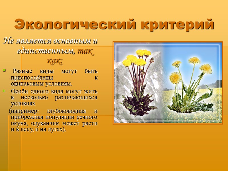 Экологический критерий Не является основным и единственным, так как:  Разные виды могут быть